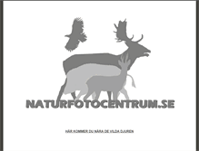 Tablet Screenshot of naturfotocentrum.se